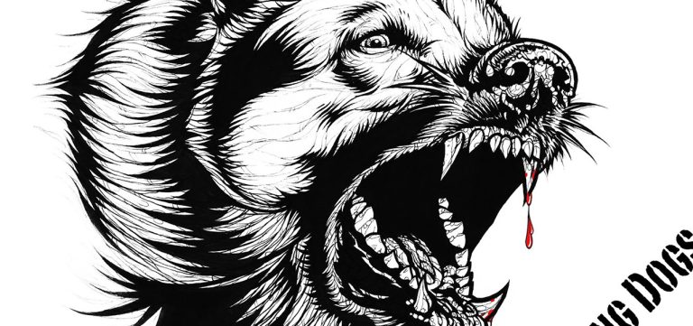 BREAKING: SWALLOW THE DOG Clears the Air—They Haven’t Moved to Springfield to Eat Your Pets!