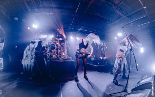 ELUVEITIE