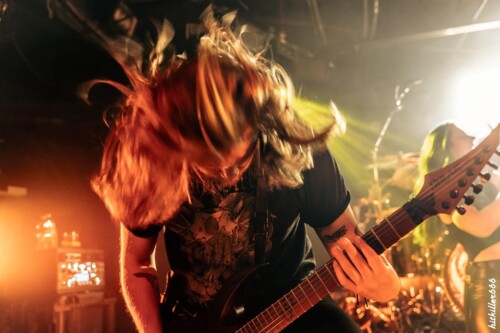 ELUVEITIE
