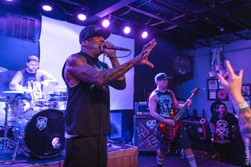 Hed PE