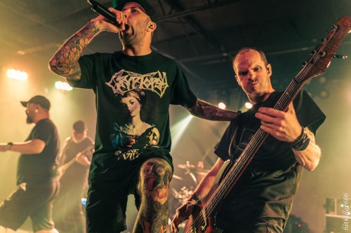 DESPISED ICON