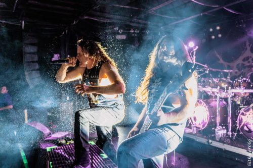 Cattle Decapitation live