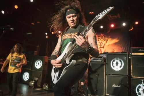 MUNICIPAL WASTE live