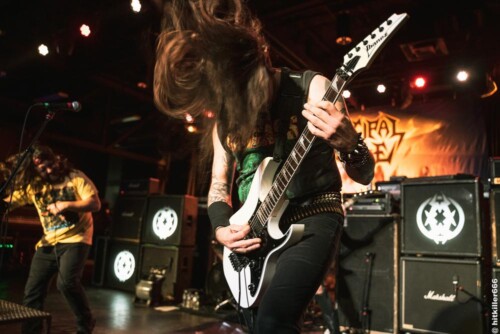 MUNICIPAL WASTE live