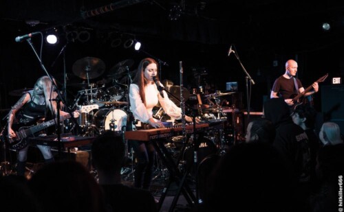 Cellar Darling