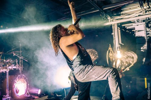 Cattle Decapitation live