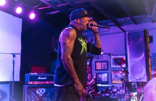 Hed PE