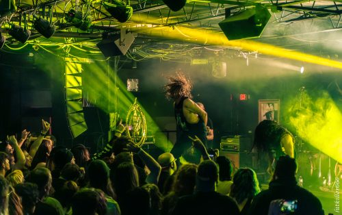 Cattle Decapitation live