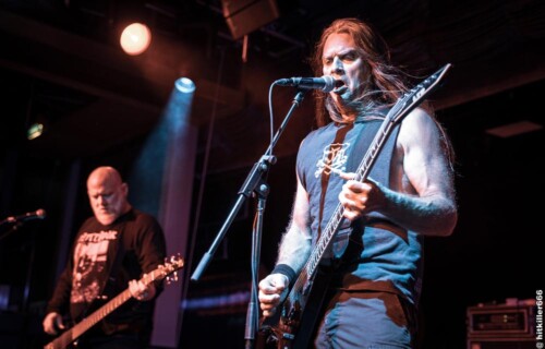 10jungle-rot-cruise-2023