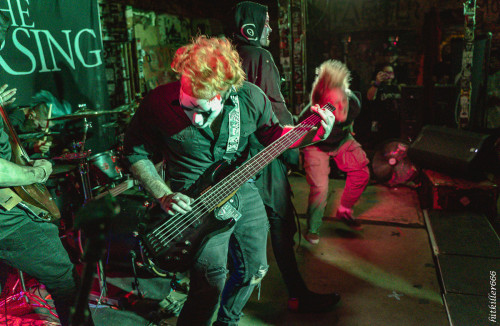 The Coursing band live