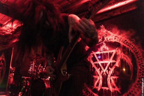 CATTLE DECAPITATION