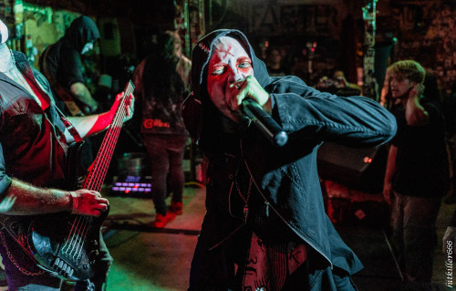 The Coursing band live