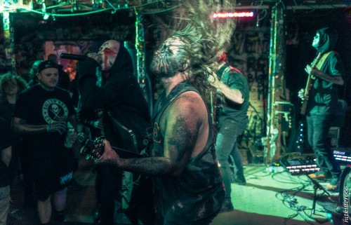 The Coursing band live