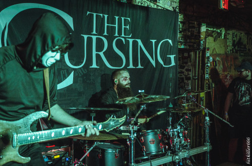 The Coursing band live