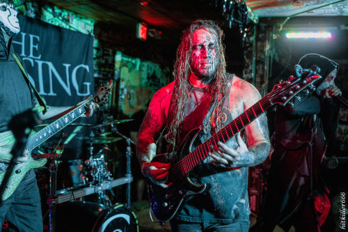 The Coursing band live