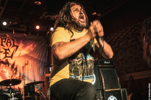 MUNICIPAL WASTE live