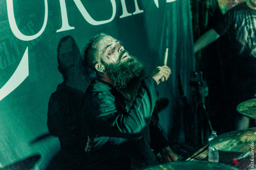 The Coursing band live