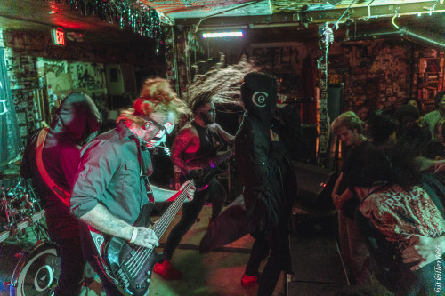 The Coursing band live