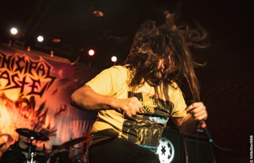MUNICIPAL WASTE live