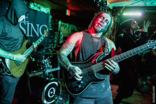 The Coursing band live