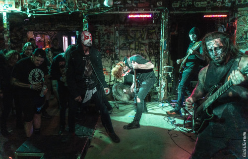 The Coursing band live