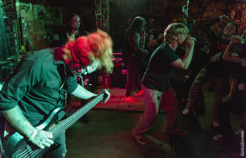 The Coursing band live