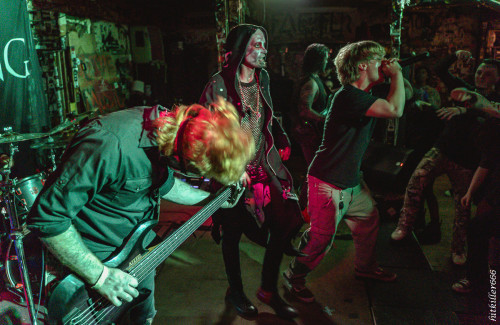 The Coursing band live