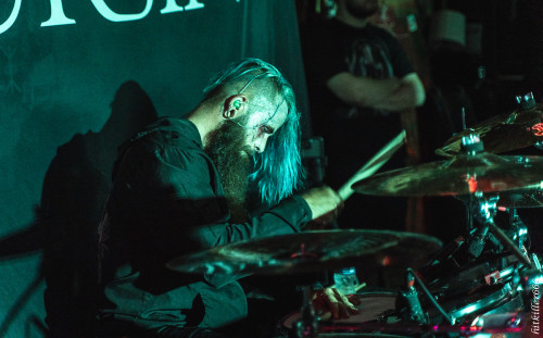 The Coursing band live