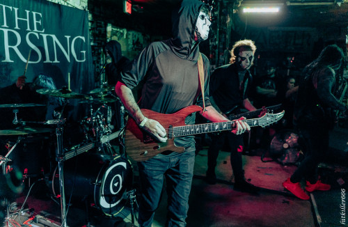 The Coursing band live