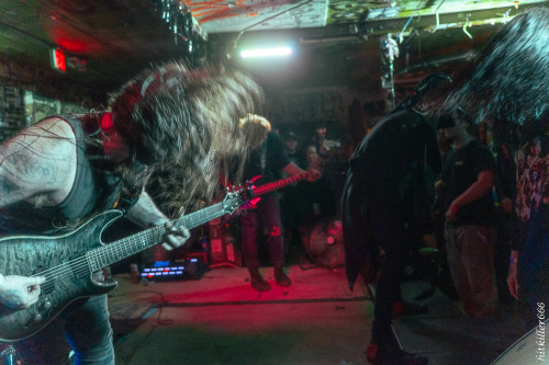 The Coursing band live