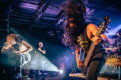 Cattle Decapitation live