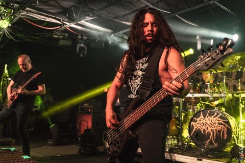 Cattle Decapitation live