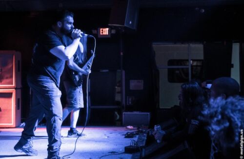 DEFEATED SANITY