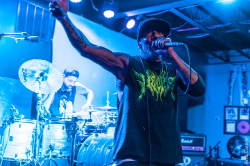 Hed PE