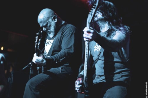 23jungle-rot-cruise-2023