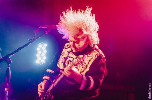 MELVINS 2025