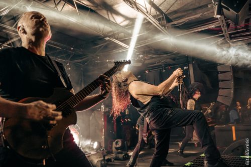 Cattle Decapitation live