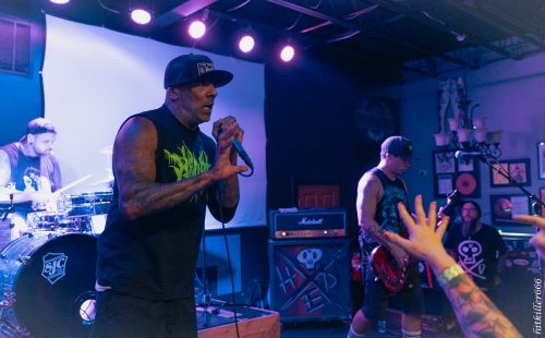 Hed PE