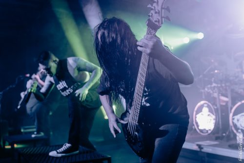 34carnifex