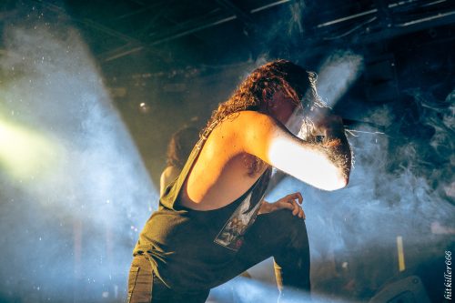 Cattle Decapitation live