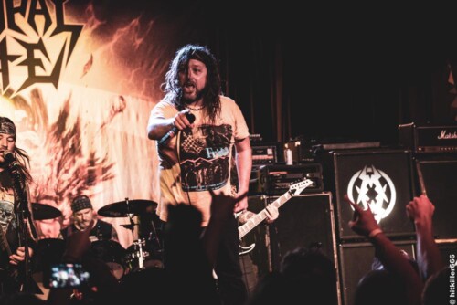 MUNICIPAL WASTE live