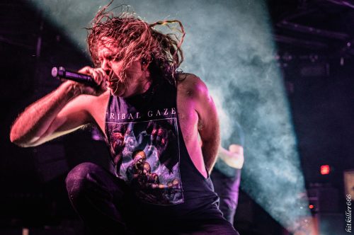 Cattle Decapitation live