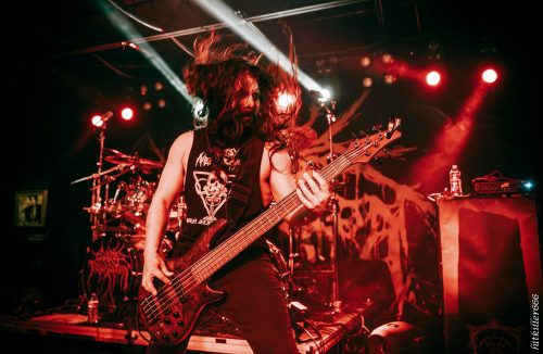 Cattle Decapitation live