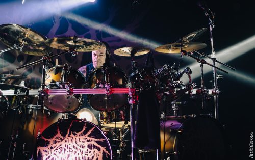 Cattle Decapitation live