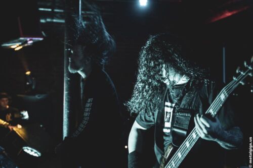 CATTLE DECAPITATION