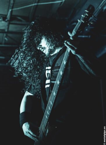 CATTLE DECAPITATION