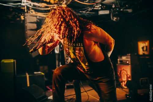 Cattle Decapitation live