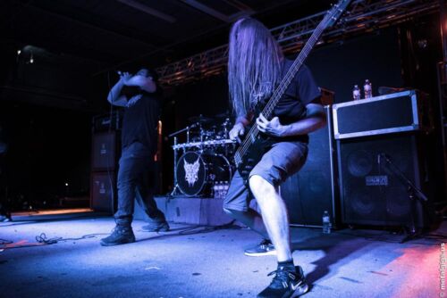 DEFEATED SANITY