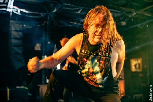 Cattle Decapitation live