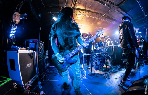 Ill Nino band live